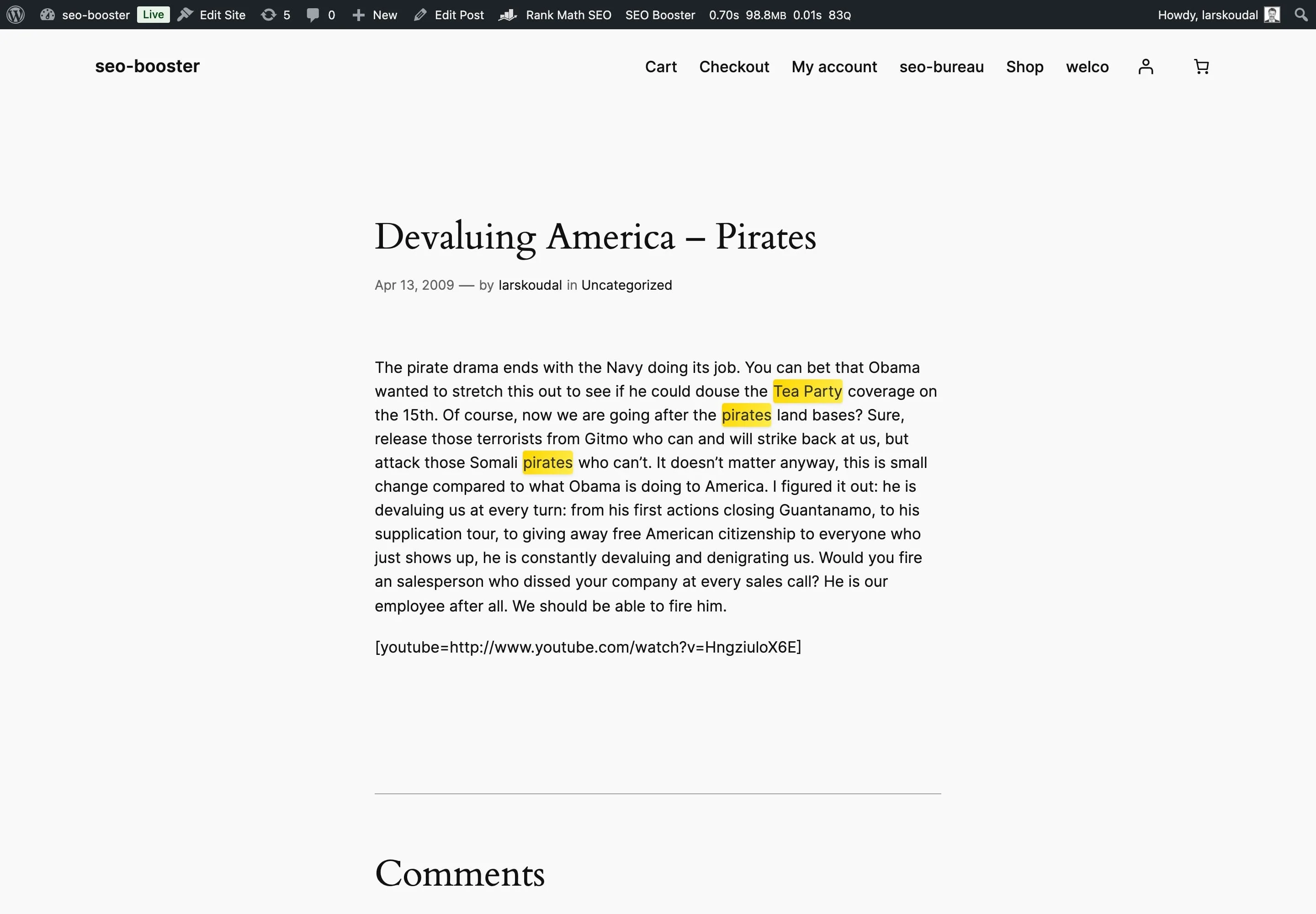 Frontend page with GSC keywords highlighted in yellow in the content